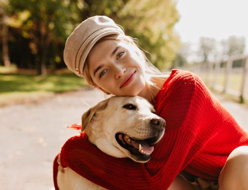 Relocation With Your Pet